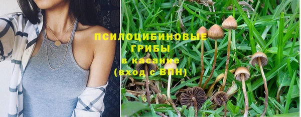 герыч Алексеевка