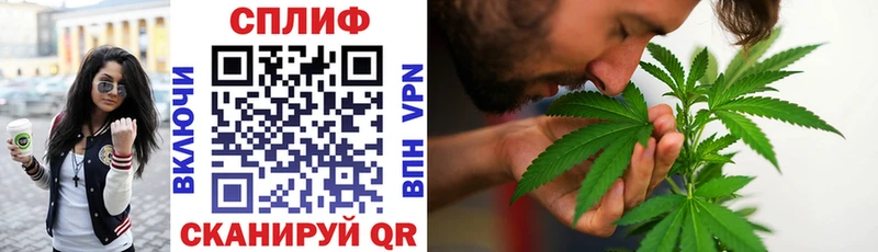 где продают наркотики Солигалич Бошки марихуана план